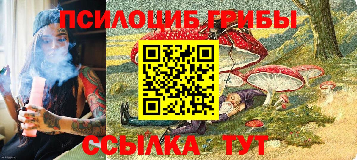 Галлюциногенные грибы Magic Shrooms Железногорск