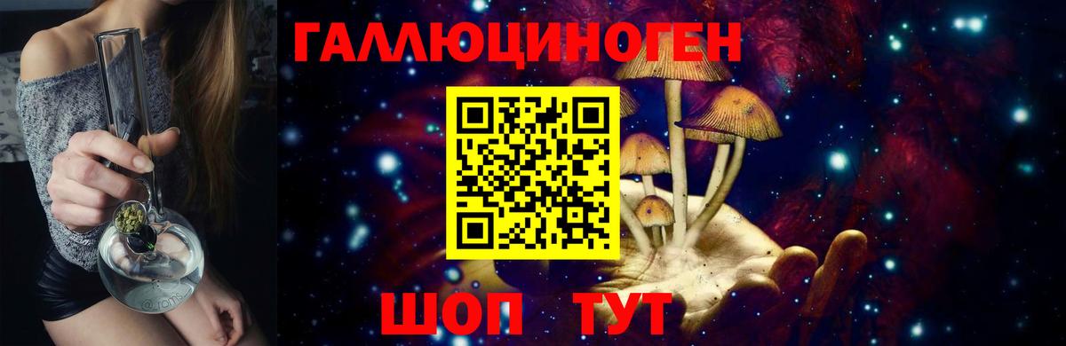 Галлюциногенные грибы прущие грибы  Вход с VPN  Железногорск 